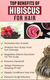 Neotea Hibiscus Herbal Shampoo 500ml – Chemical-Free Shampoo for Improved Hair Growth, Strengthens & Nourishes Hair, Promotes Healthy Scalp, Adds Shine & Softness - Image 4
