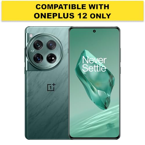 RIGGEAR Shockproof Sleek Hybrid Armor Back Cover Case Compatible with OnePlus 12 (Clear PC + Black TPU Bumper) - Image 2