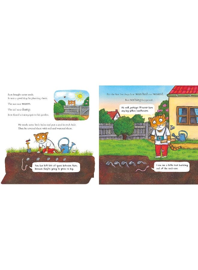 National Trust: Sam Plants a Sunflower - Image 3