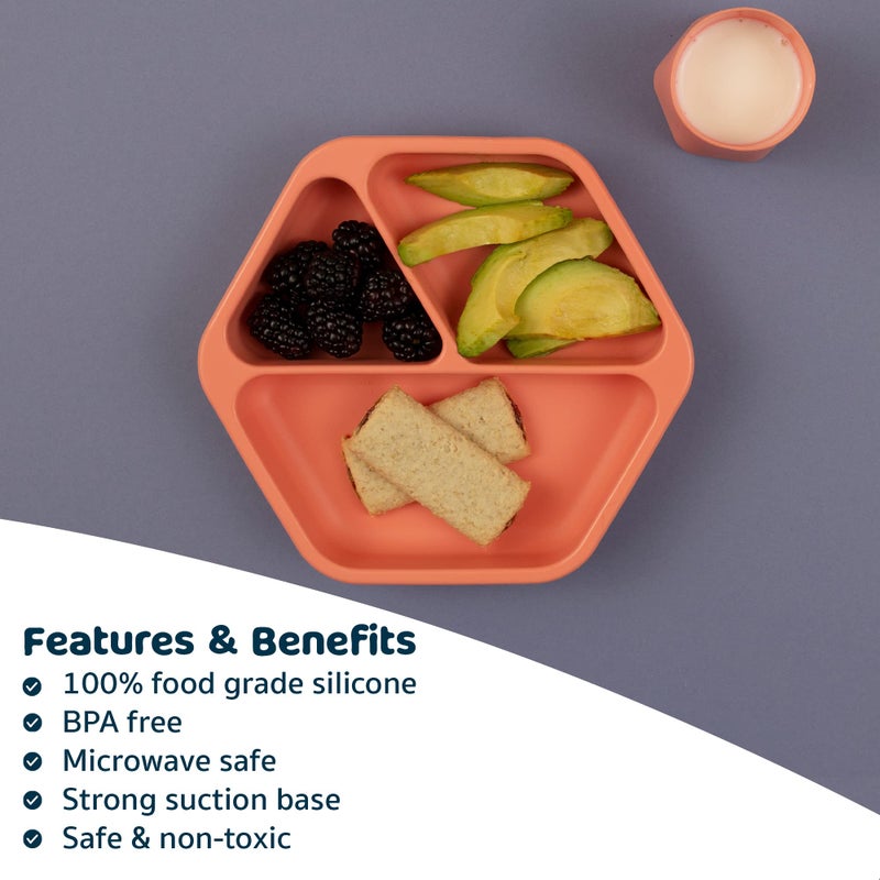 Tiny Twinkle Silicone Suction Baby Plate, Suction Grip Divided Dish for First Foods and Self-Feeding Toddlers, Baby Led Weaning Supplies for Independent Eating (Coral Plate) - Image 5