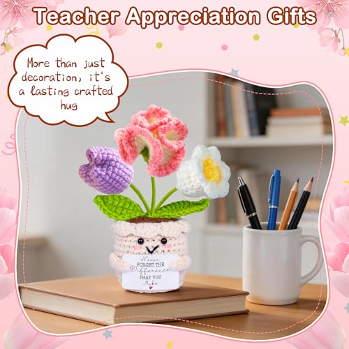 Qunland Teacher Appreciation Gifts, Thank You Teacher Gifts, Graduation Birthday Retirement Gift for Teachers Mentor Coworker Boss, Cute Handmade Crochet Carnations 3 Flowers Pot Doll Teacher's Day Bulk Gift - Image 3