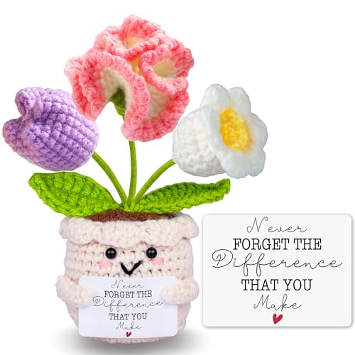 Qunland Teacher Appreciation Gifts, Thank You Teacher Gifts, Graduation Birthday Retirement Gift for Teachers Mentor Coworker Boss, Cute Handmade Crochet Carnations 3 Flowers Pot Doll Teacher's Day Bulk Gift - Image 1
