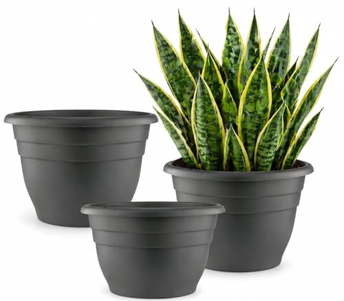 RooTrimmer 3 Pack 11 Inch Plant Pots with Drainage Hole and PlugPlastic Flower Pots for Indoor Outdoor PlantsLightweight Plant Pots Perfect for HerbsFlowers SucculentsGray - Image 1