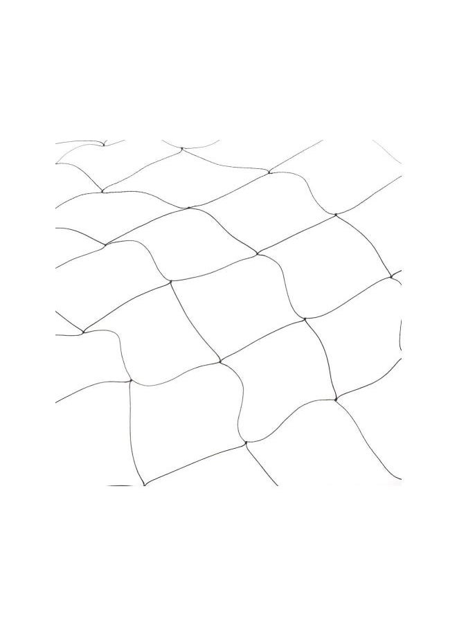 Bird Net, Heavy Duty Anti Bird Protection Mesh Net for Farms Vineyard Agricultural Planting, Black (Nylon, 25' x 50')