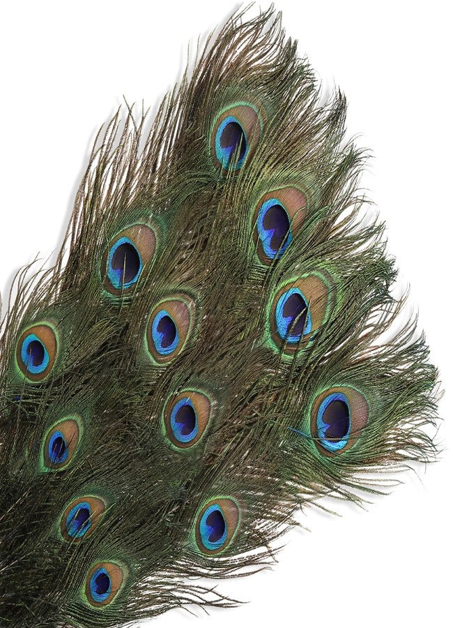 Goaste 50 Pack Real Peacock Feathers, 10-12 Inch Natural Peacock Eye Feathers for Floral Arrangements, Wedding, Home Decoration, Party Decoration, DIY Craft, Christmas Tree Decor - Image 3