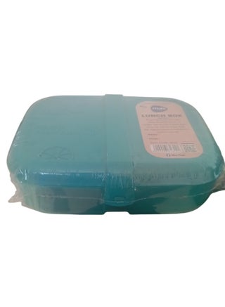 Lunch Foodie Box - pzsku/Z5089F764AB77900AAFA2Z/45/_/1736249979/8b6219d2-3d91-4ec3-b2a8-d35faa708f82