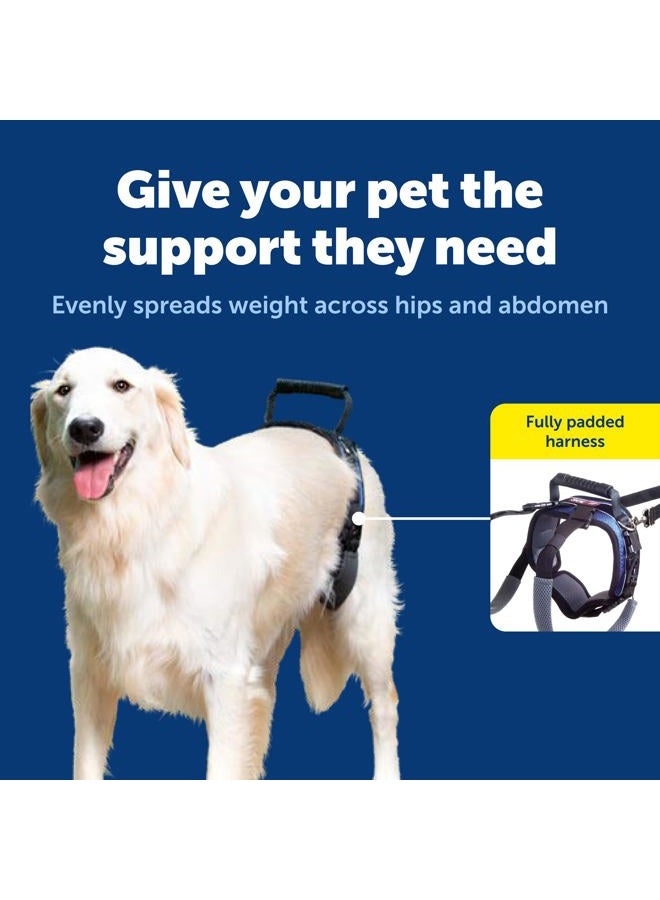PetSafe Solvit CareLift Rear-only Dog Lifting Harness - Image 3