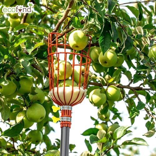 ecofynd Fruit Picker Tool with Adjustable Pole Fixing Clamp, Metal Gardening Easy and Safe Fruit Picking from Trees, Lightweight & Durable Basket Design for Outdoor Garden/Farm (Orange) - Image 4