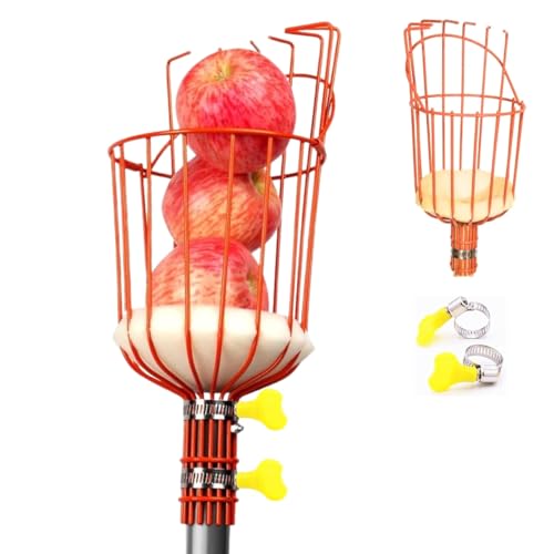 ecofynd Fruit Picker Tool with Adjustable Pole Fixing Clamp, Metal Gardening Easy and Safe Fruit Picking from Trees, Lightweight & Durable Basket Design for Outdoor Garden/Farm (Orange) - Image 1
