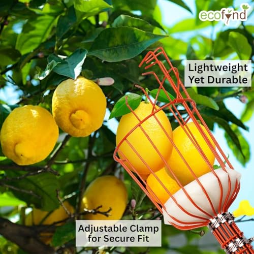 ecofynd Fruit Picker Tool with Adjustable Pole Fixing Clamp, Metal Gardening Easy and Safe Fruit Picking from Trees, Lightweight & Durable Basket Design for Outdoor Garden/Farm (Orange) - Image 3