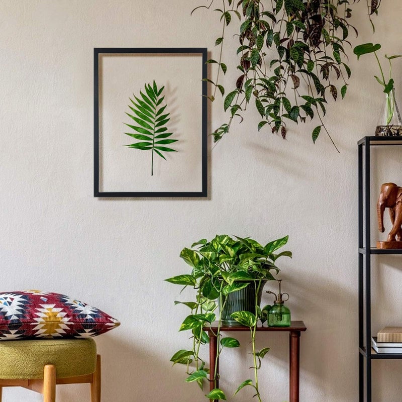 ONE WALL 18x24 Inch Floating Frame, Black Wood Double Glass Float Picture Frame Display 11x14/11x17/12x18/13x19/16x20 Photos Plant or Petal Specimens for Wall Hanging - Mounting Kit Included - Image 5