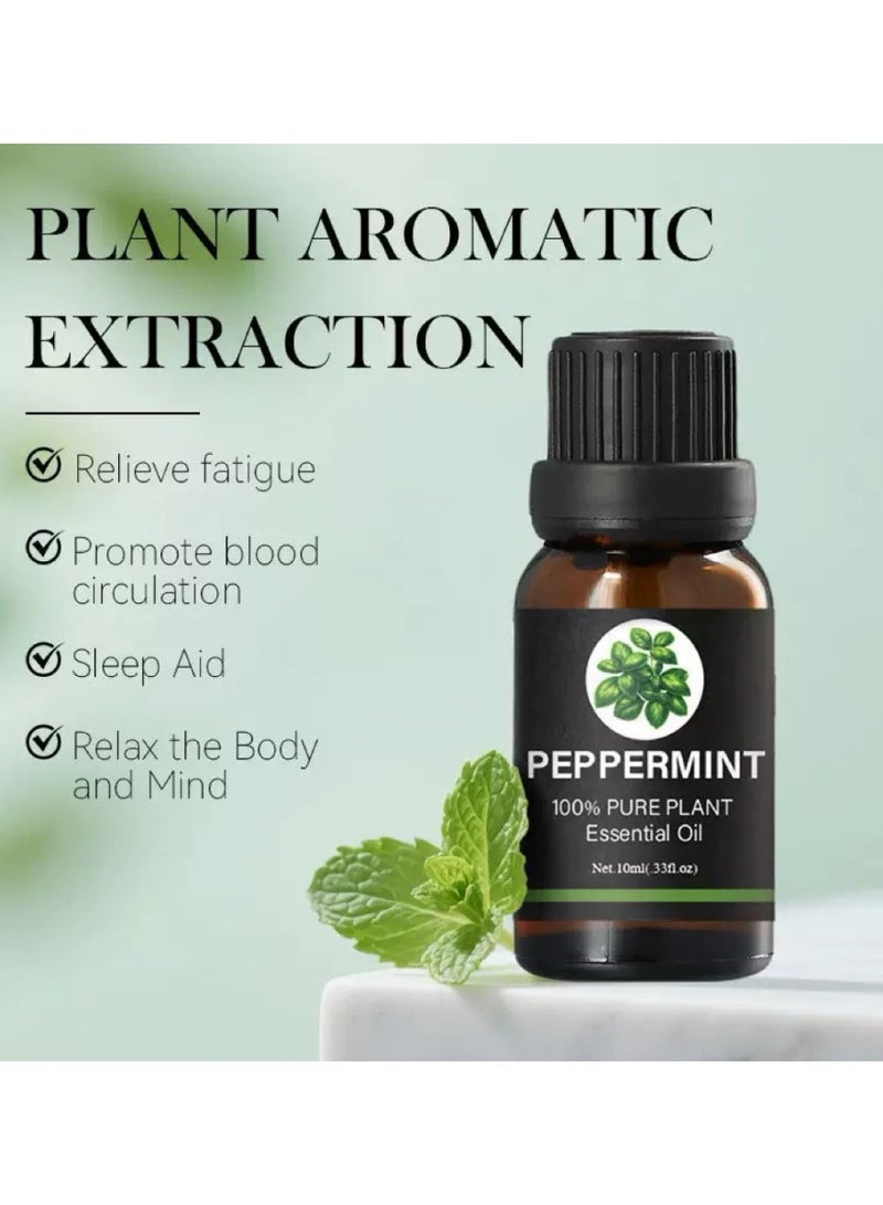 Essential Oils, Water Soluble Essential Oils Set for Humidifier, Diffusers and Home Premium Aromatherapy Oil Gift 6x10ML For Humidifier Oil Fragrance Diffuser Home Fragrance Refill Oils Gift Set - Image 2