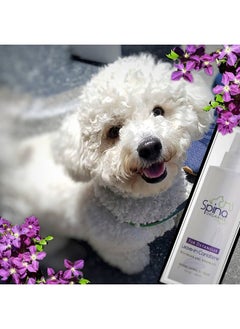 Spina Organics , AllNatural Dog LeaveIn Conditioner Detangler Spray, With Aloe Vera And Rich In Omegas, LeaveIn Moisturizing To Detangle Pet'S Coat  9 Fl Oz Made In Usa  - Image 2