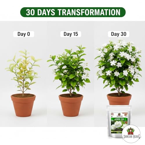 Sansar Agro ® Garden Jasmine Food, Essential Organic Fertilizer For Jasmine Plants, Double Filtered With All Required Nutrients And Active Micro-Organism For Heavy Flowering (900 Gm),Powder - Image 4
