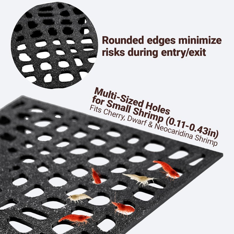 HERPDEN 2-Pack Black Shrimp Hides for Aquarium - Stealth Cave with Multi-Sized Holes, 180Â° Viewing & Stable Hides for Cherry/Dwarf Shrimp - Image 3