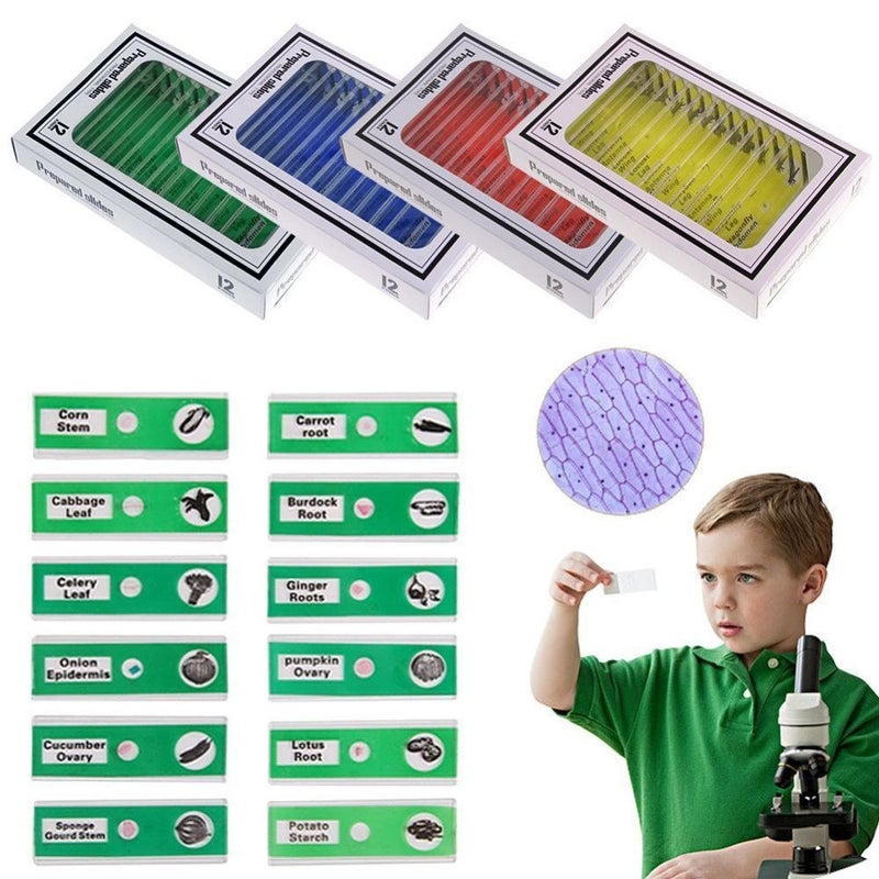 Bysameyee Prepared Microscope Slides for Kids, 48pcs Plastic Animals Insects Plants Flowers Sample Specimens for Students Children Homeschooling Biology Science Programs - Image 3