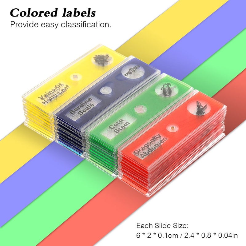 Bysameyee Prepared Microscope Slides for Kids, 48pcs Plastic Animals Insects Plants Flowers Sample Specimens for Students Children Homeschooling Biology Science Programs - Image 4