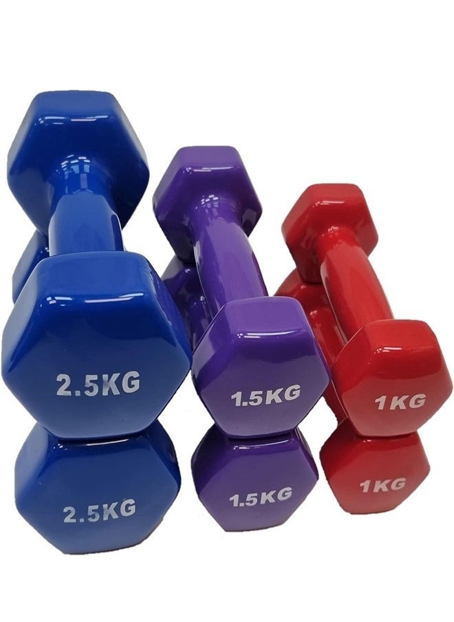 Fitness World - Dumbbell set, 10 kg, multicolor, A bag of dumbbells and weights from Fitness World - Image 1