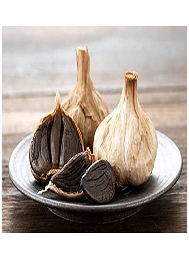 LUIS BIEN - Luis Bien Black Garlic Oil Hair Growth Natural Oil,Hair Care,Hair Growth Serum ,Anti Hair Loss Serum Men and Women 50 ML - Image 1