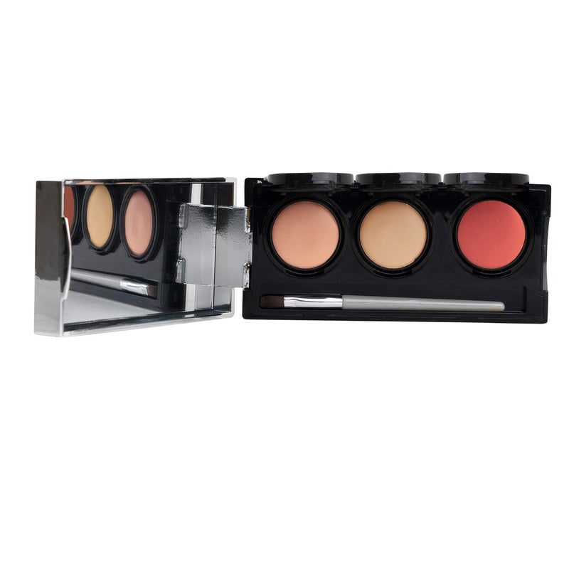 Dermaflage Tattoo Cover Up Makeup Light  Bruise Full Coverage Concealer  Full Coverage Waterproof Concealer for Bruise Scar  Acne  Smudge Proof Body Makeup Palette with 3 Pro SFX Shades  Brush
