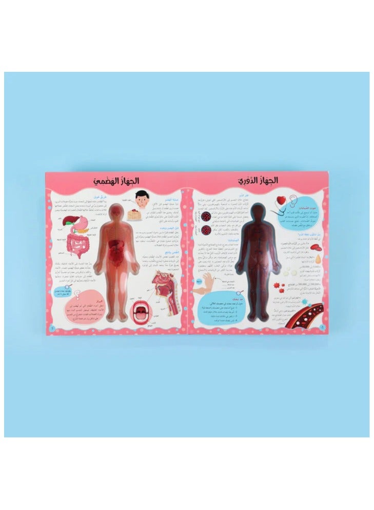 Educational Innovations Discover the human body  - Image 3