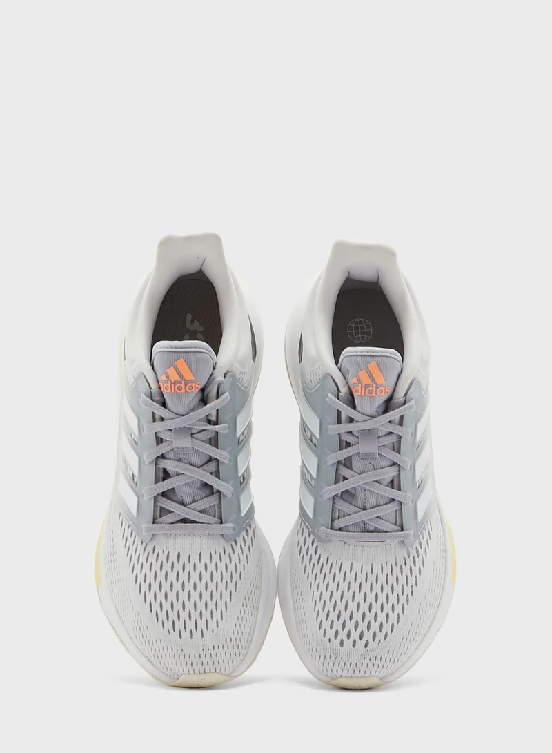 adidas حذاء اي كيو للركض