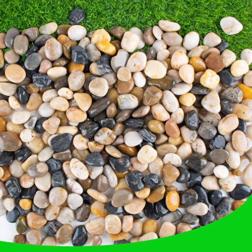 CJGQ Pebbles for Plants 7 lb Natural River Rocks for Garden Outdoor Aquariums Gravel 1-1.5 Inches - Image 1