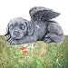 MiDube Dog Memorial Stone Resin Statue Pets Sleeping Angel Dog Keepsake Marker Grave Handmade for Cemetery - Image 2