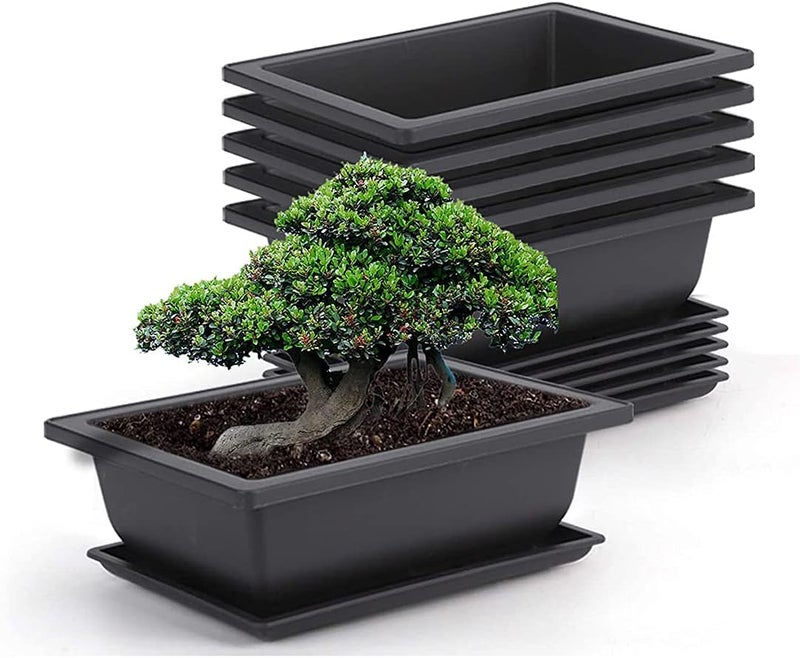 Cozy 6 Packs 9 Inches Bonsai Pots Bonsai Plants Training Plastic Growing Pot for Garden Yard Office Living Room Balcony and Vintage Flower Pot Wooden Frame Tabletop Plants Home Decor - Image 1