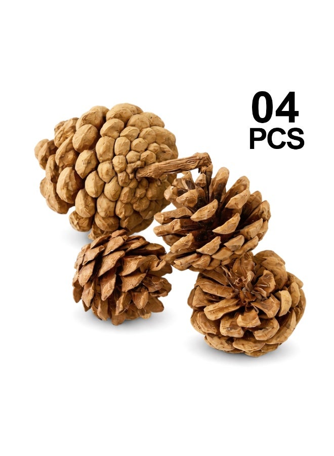 Habibi Party 4 Pieces Wooden Pine Cones Set – for Crafts, DIY Projects & Decoration Use - Image 1