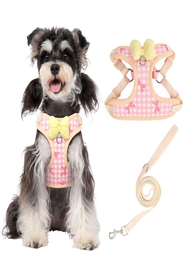 Coppthinktu Dog Harness for Small Sized Dogs, Puppy Cat Harness with Leash Set No Pull Dog Harness Adjustable Reflective Step-in Pet Vest Harnesses with Cute Bow Soft Padded Outdoor Walking - Image 1