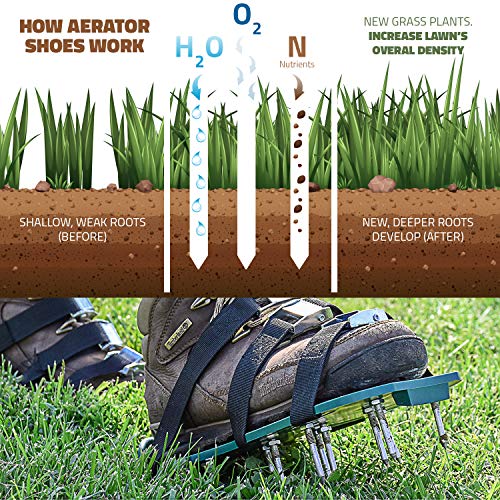 Abco Tech Lawn Aerator Shoes for Grass - Yard Aeration Tool with 3 Adjustable Straps and Heavy-Duty Metal Buckles - Aerating Shoes for Lawn Care, Grass Health, and Soil Ventilation - Image 4