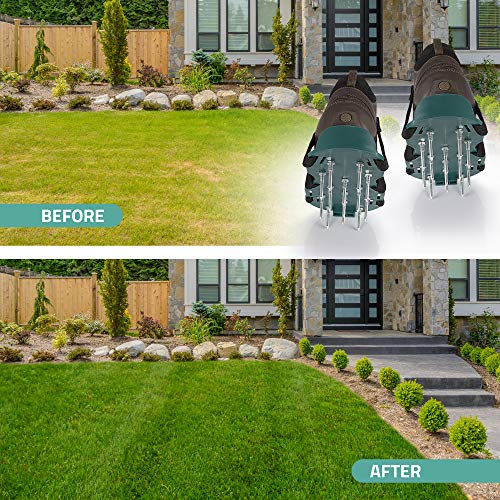 Abco Tech Lawn Aerator Shoes for Grass - Yard Aeration Tool with 3 Adjustable Straps and Heavy-Duty Metal Buckles - Aerating Shoes for Lawn Care, Grass Health, and Soil Ventilation - Image 2