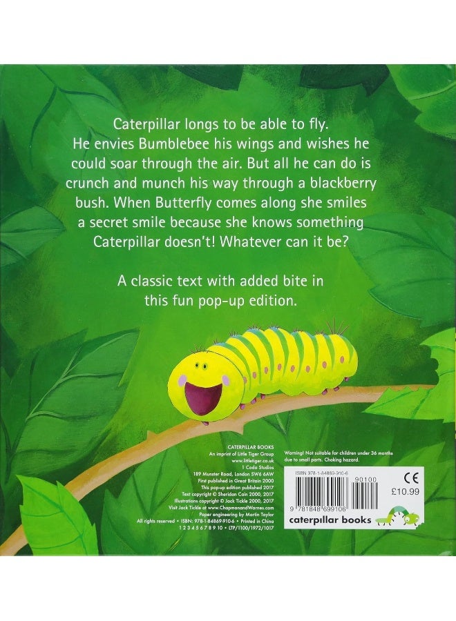 The Crunching Munching Caterpillar  - Image 4