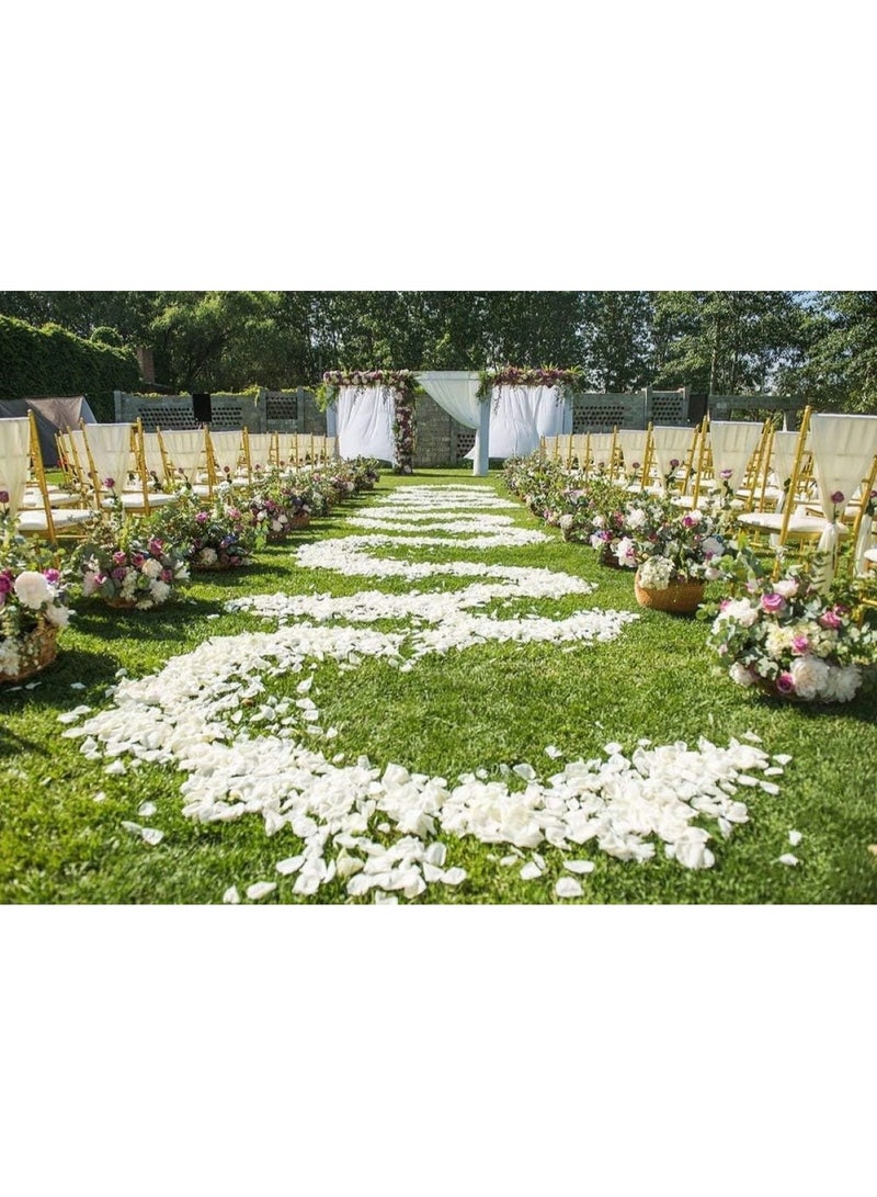 Huitich Petal Harmony 144 Pieces Artificial Silk Rose Petals White  - Image 5