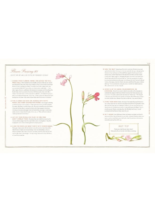 Syme's Letter Writer: A Guide to Modern Correspondence About (Almost) Every Imaginable Subject of Daily Life, with Odes to Desktop Ephemera and Selected Letters of Famous Writers - Image 4