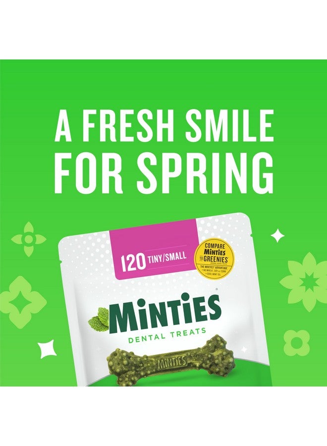 Minties Dental Chews for Dogs, 80 Count, Vet-Recommended Mint-Flavored Dental Treats for Tiny/Small Dogs 5-24 lbs, Dental Bones Clean Teeth, Fight Bad Breath, and Removes Plaque and Tartar - Image 2