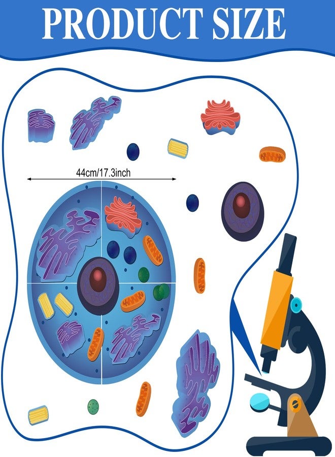 Leitee 18 Pcs Magnetic Animal Cell Model Kits Giant Teaching Resources Early Biology Cell Anatomy Model Life Science Teaching Aid for Whiteboard Learning Tools Educational Classroom Activities - Image 2