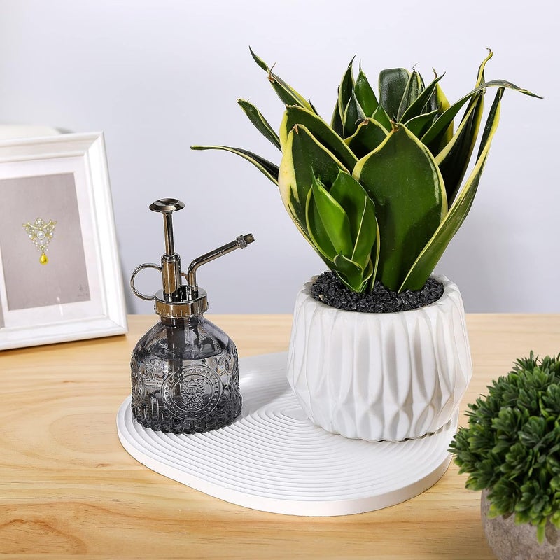 Ebristar Glass Plant Mister Spray Bottle, Vintage Plant Water Spritzer, Succulent Spray Bottle with Top Pump, Small Glass Sprayer Mister Watering Can for Indoor Outdoor Houseplant - Grey - Image 5
