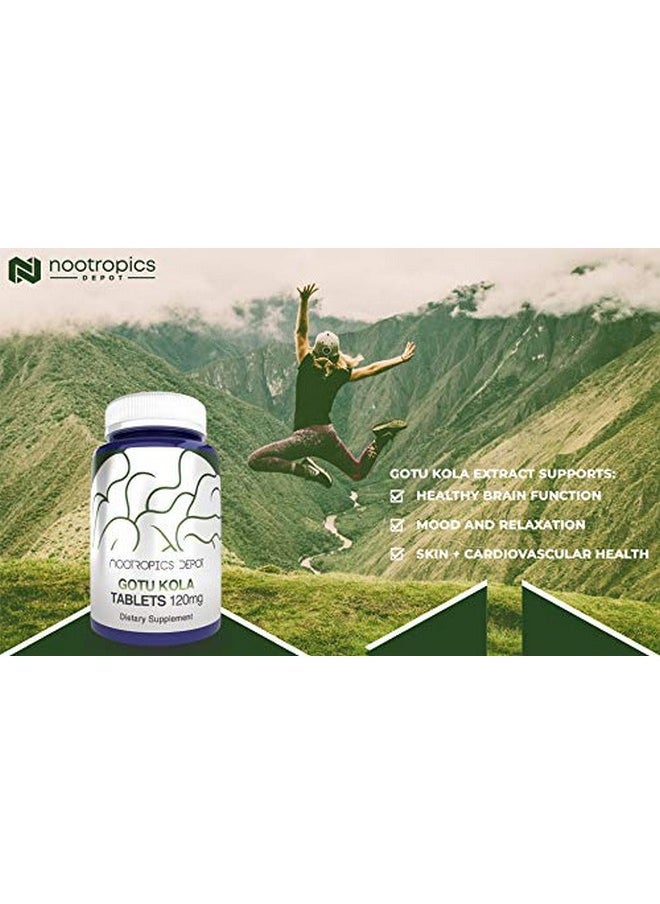 Nootropics Depot - Gotu Kola Extract Tablets ; 120Mg ; 90 Count ; Enteric Coated ; Centella Asiatica ; 3545% Triterpenes ; Supports Healthy Stress Levels ; Promotes Memory Enhancement - Image 1