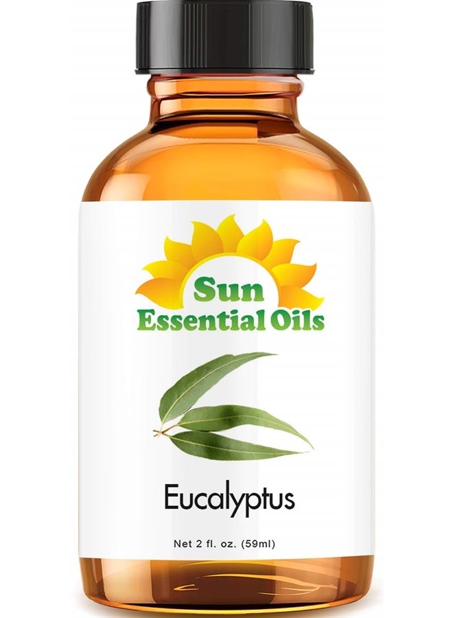 Sun Essential Oils 2oz - Eucalyptus Essential Oil - 2 Fluid Ounces - Image 1