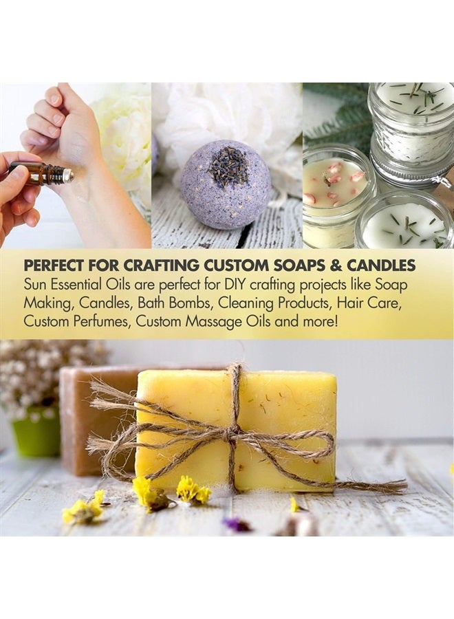 Sun Essential Oils 2oz - Eucalyptus Essential Oil - 2 Fluid Ounces - Image 5