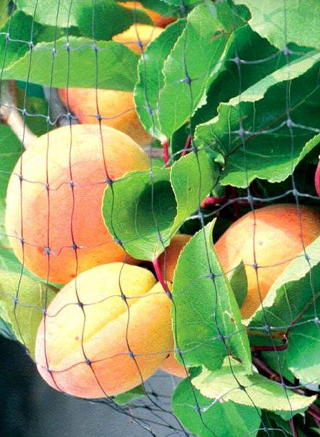 Anti Bird Protective Plant Covering Net(Green) - Image 4