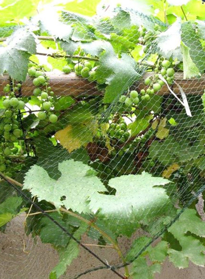 Anti Bird Protective Plant Covering Net(Green) - Image 3