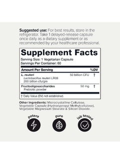 Toniiq 50 Billion Cfu Lactobacillus Reuteri Probiotic 50Mg Per Serving - L Reuteri Probiotics - Highest Cfu Count Lactobacillus Reuteri Probiotic - 60 Vegetarian Capsules - 60 Servings  - Image 2