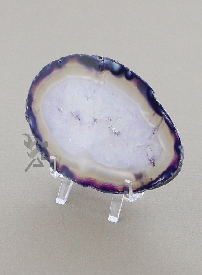 OnFireGuy 3" Rectangular Display Stand Easels for Large Belt Buckles, Coins & Currency, Tablets, & Minerals, Qty: 1 - Image 2