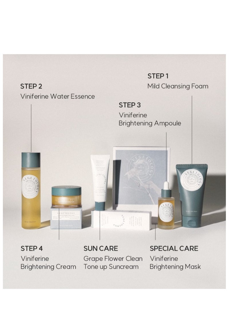 Vegetology Viniferine Brightening Cream Korean Skincare Brightening Cream Hydrate And Moisturize Skin Beauty Cream Regenerates And Even Out Skin Tone 1.69oz 50ml  - Image 5