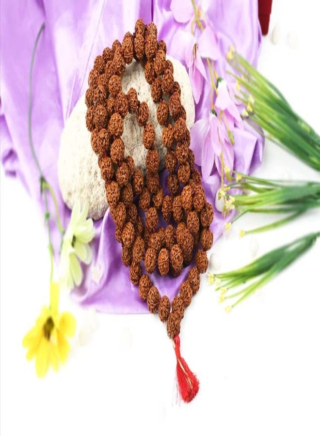 OPTIMUS RUDRAKSHA 5 Mukhi Rudraksha Mala نيبالي 108 خرز أصلي معتمد من Holy Rudraksh रुम्राक्ष माला महाषव خطوط عميقة بنية اللون Panchmukhi Rudrachh Ruthratcham Malai للرجال والنساء وهم يرددون التغني - Image 3