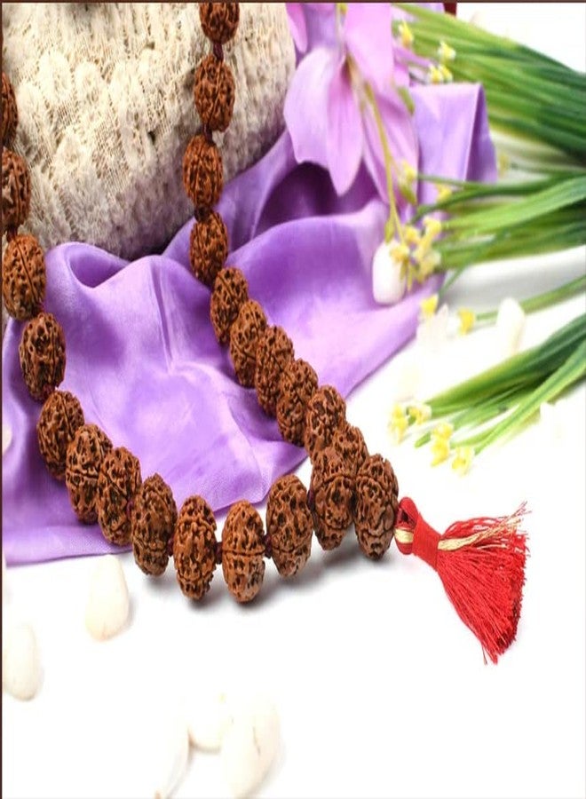 OPTIMUS RUDRAKSHA 5 Mukhi Rudraksha Mala نيبالي 108 خرز أصلي معتمد من Holy Rudraksh रुम्राक्ष माला महाषव خطوط عميقة بنية اللون Panchmukhi Rudrachh Ruthratcham Malai للرجال والنساء وهم يرددون التغني - Image 2