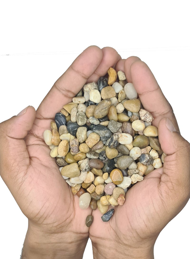 كيس من صخور نهر بيبل المزخرفة الطبيعية - Image 3